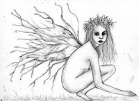 Twisted Wings